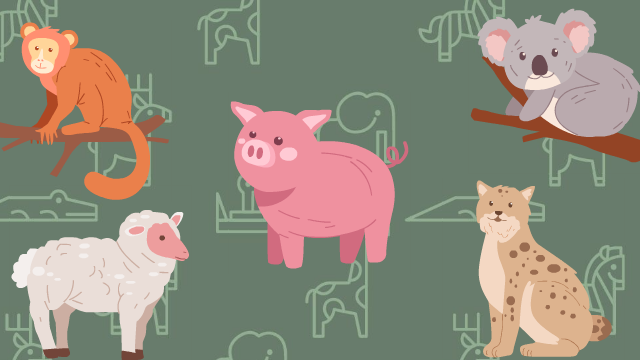Aperçu du jeu éducatif Le régime alimentaire