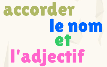 CM1 Accorder le nom et l'adjectif 19