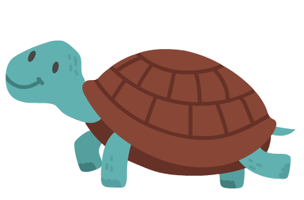 tortue
